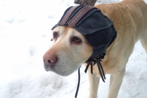 кожаная шапка фиксирущая повязку на больной ушной раковине 